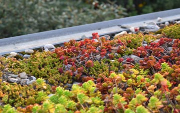 the cost of Aberffraw green roof installation